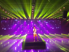 專業(yè)活動策劃服務 商業(yè)演出、舞臺燈光與文化藝術交流